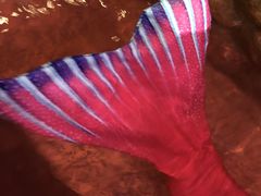 -南宫温泉水世界