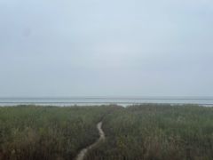 -合肥滨湖国家森林公园