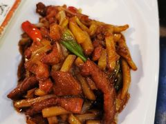 -云中小雅