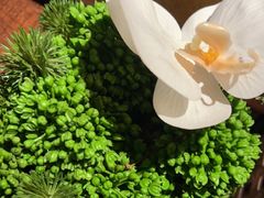 -穿越·外婆家(西溪天堂店)