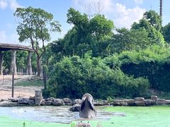 -上海野生动物园