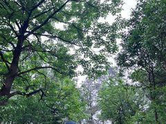 -敬亭山风景名胜区