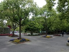 -崇明东平国家森林公园烧烤房车露营地