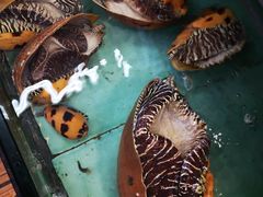 -老钱饭店(后渚港店)