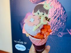 -哈根达斯(西安高新店)