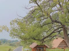 -良渚古城遗址公园