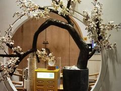 -不凡脑禅境·养生·舒压调理SPA(华发世纪城店)