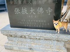 -张掖大佛寺景区