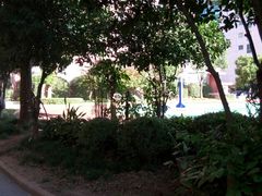 -上海市格致初级中学