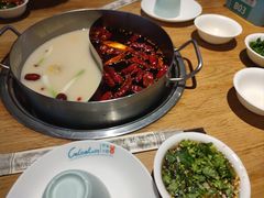 -青瓷火锅料理(西单大悦城店)