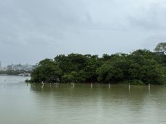 -惠州西湖风景名胜区-丰渚园