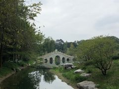 -龙抄手食府(浣花北路店)