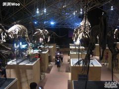 -世界恐龙谷景区