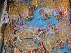 -添福来墨鱼饺子 · 海鲜东北菜(大连星海·黄浦路店)