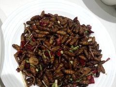 -金春禧·鲁菜海鲜(延吉路万达店)