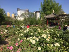 -迎泽公园