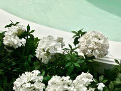 -深圳湾万象城(南山店)