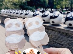 -都江堰中华大熊猫苑