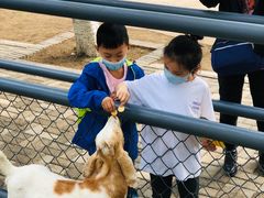 -长白岛森林公园