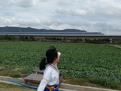 -光明小镇欢乐田园