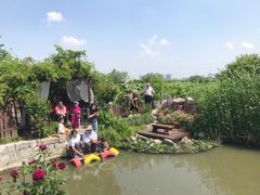 -樂桃源奉贤黄桃种植采摘基地