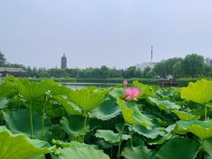 -西海子公园