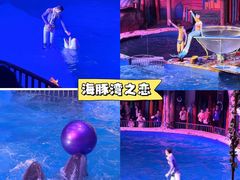 -大连圣亚海洋世界