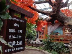 -老山东·山东菜(鲁菜名店)