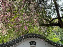 -深圳国际园林花卉博览园