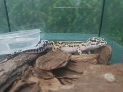 -万达广场(宜兴店)