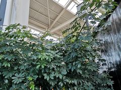 -太白山御龙湾温泉