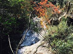 -永泰中国云顶
