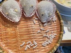 -点都德·毕德寮