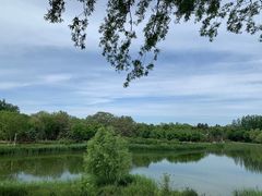 -大兴滨河森林公园