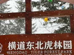 -横道河子东北虎林园