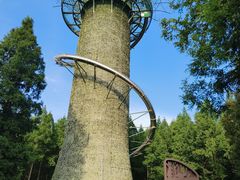 -黄海国家森林公园