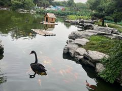 -扬州瘦西湖温泉