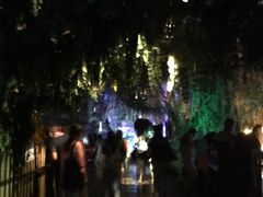 -暹罗海洋世界