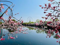 -无锡蠡湖国家湿地公园-蠡园