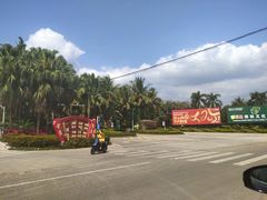 -呀诺达热带雨林