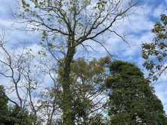 -广东中医药博物馆