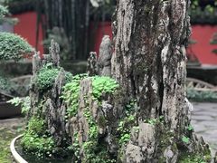 -成都武侯祠博物馆