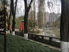 -温江公园