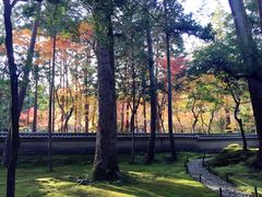 -西芳寺(苔寺)