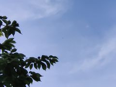 -信号山公园