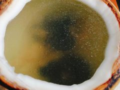 -胜记乐源海鲜酒家(东区员工大厦店)