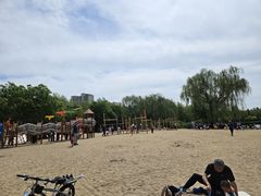 -大兴滨河森林公园