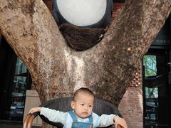 -茶影·老味烧烤