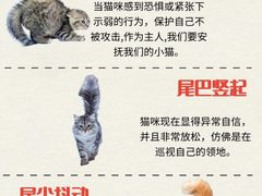 -泰洋动物医院·神经专科·磁共振·CT(天河公园总院)