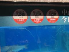 -淘米捞·米汤脆鲩鱼火锅(福田皇岗店)